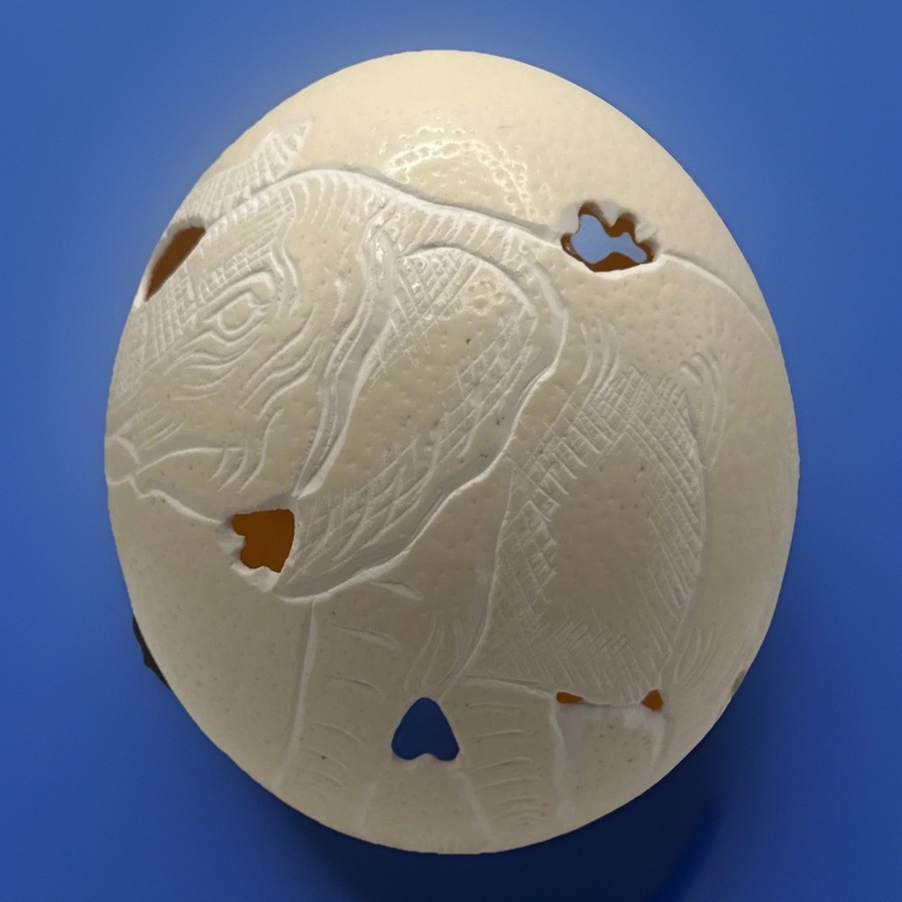 Carved Ostrich Egg With Elephant Art Beautiful For Shelf Or Desk Artwork Decor